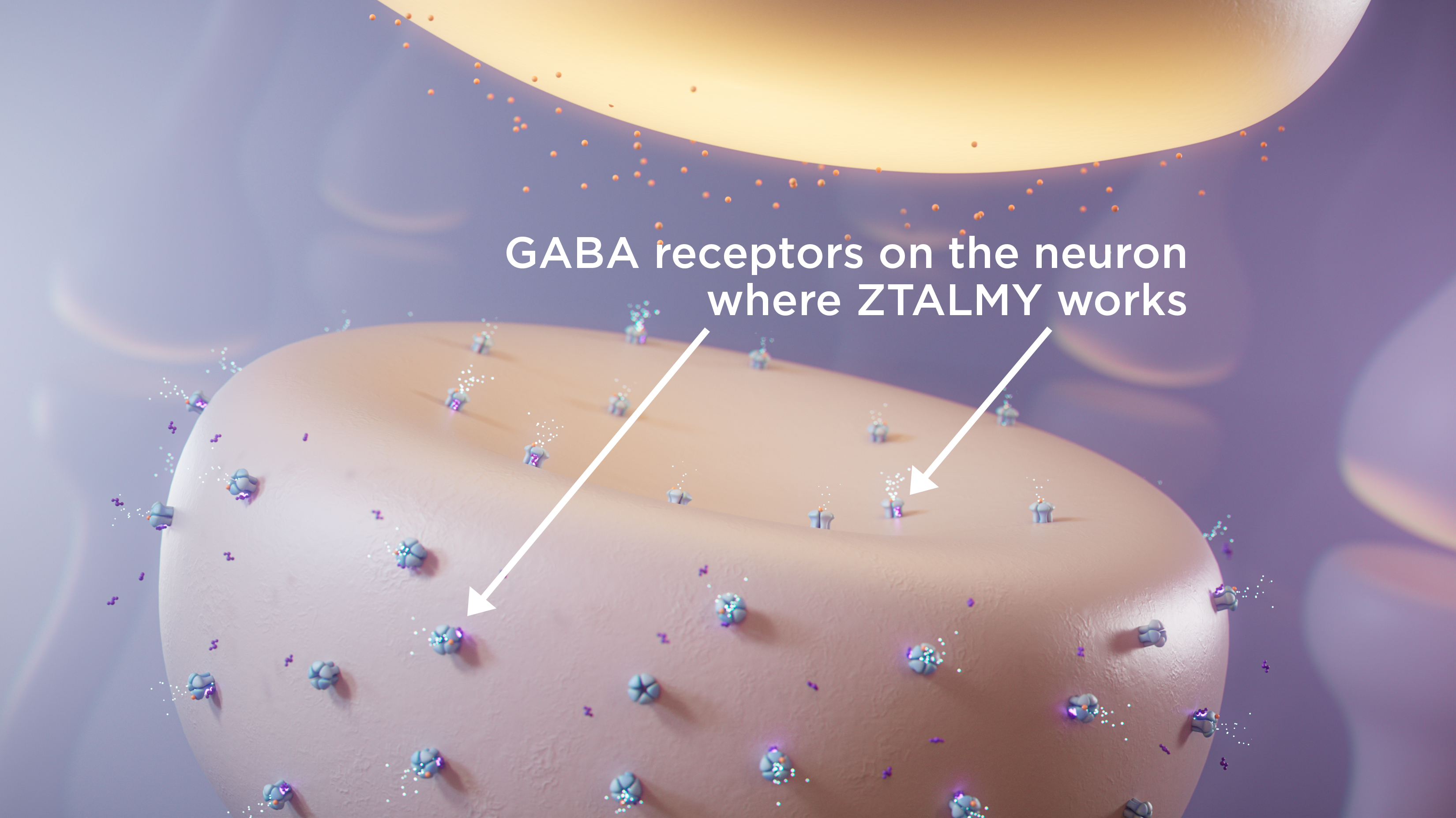 GABA receptors on the neuron where ZTALMY binds